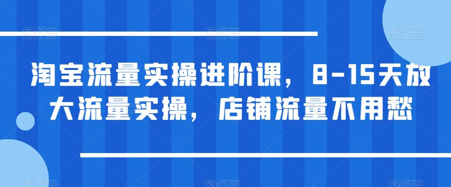 【副业项目6415期】淘宝流量实操进阶课，8-15天放大流量实操，店铺流量不用愁-繁星副业