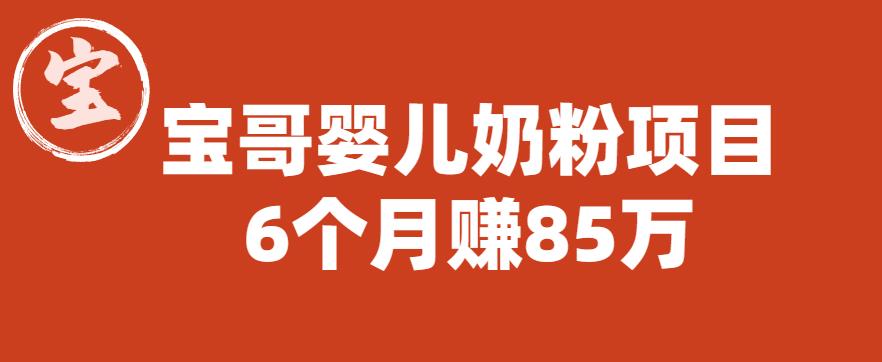 【副业项目6416期】宝哥婴儿奶粉项目，6个月赚85w【图文非视频】【揭秘】-繁星副业