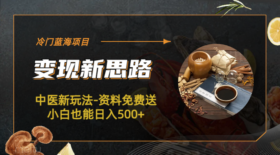 【副业项目6563期】冷门蓝海项目-中医新玩法-资料免费送小白也能日入500+-繁星副业