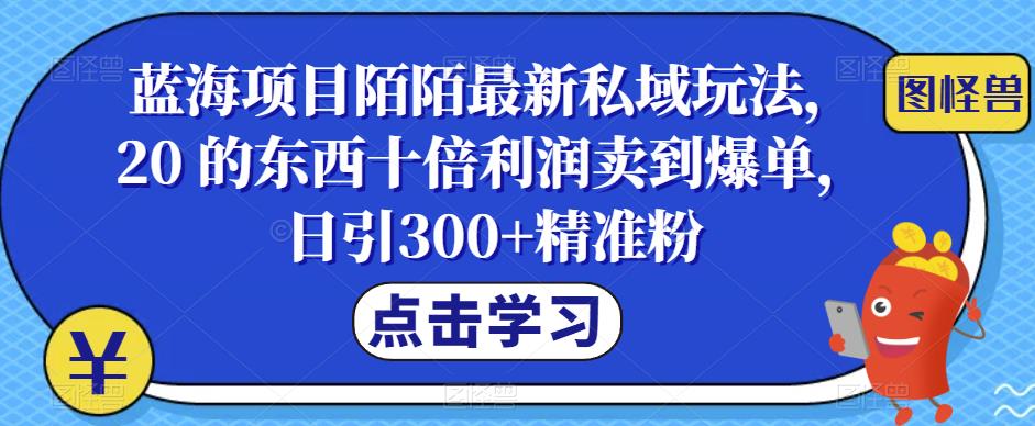 【副业项目6699期】蓝海项目陌陌最新私域玩法，20 的东西十倍利润卖到爆单，日引300+精准粉【揭秘】-繁星副业