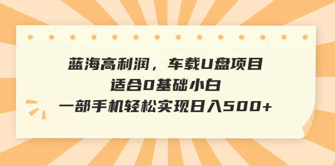 【副业项目6800期】蓝海高利润，车载U盘项目，适合0基础小白，一部手机轻松实现日入500+-繁星副业