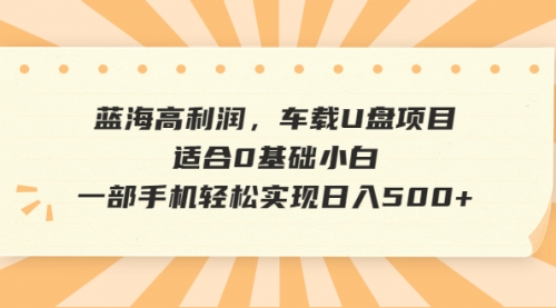 【副业项目6781期】蓝海高利润，车载U盘项目，适合0基础小白，一部手机轻松实现一天500+-繁星副业