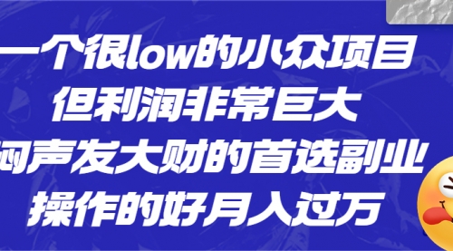 【副业项目6782期】一个很low的小众项目，但利润非常巨大，闷声发大财的首选副业，月入过万-繁星副业