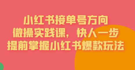 【副业项目6820期】接单号方向·小红书微操实践课，快人一步，提前掌握小红书爆款玩法-繁星副业