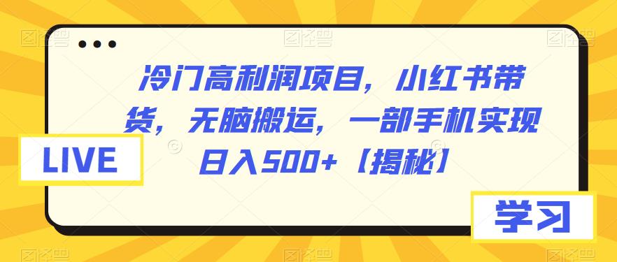 【副业项目6875期】冷门高利润项目，小红书带货，无脑搬运，一部手机实现日入500+【揭秘】-繁星副业