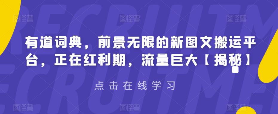 【副业项目6843期】有道词典，前景无限的新图文搬运平台，正在红利期，流量巨大【揭秘】-繁星副业