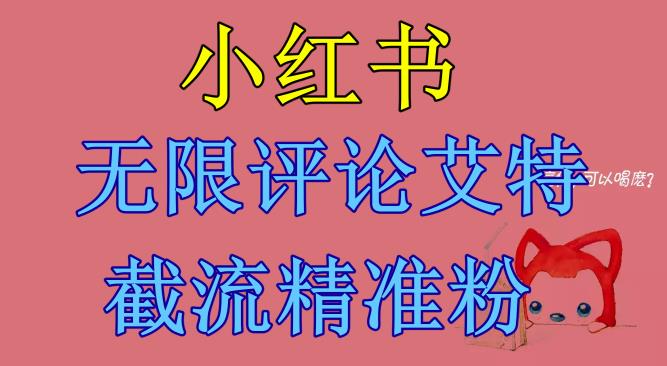 【副业项目6846期】小红书无限评论艾特截流精准粉（软件+教程）-繁星副业
