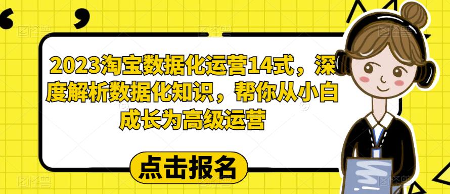 【副业项目6599期】2023淘宝数据化-运营 14式，深度解析数据化知识，帮你从小白成长为高级运营-繁星副业