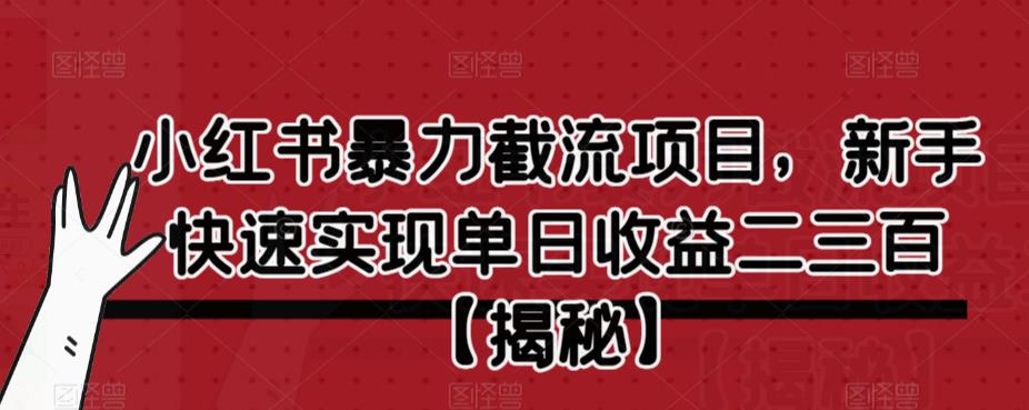 【副业项目6889期】小红书暴力截流项目，新手快速实现单日收益二三百【仅揭秘】-繁星副业