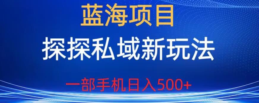 【副业项目6894期】蓝海项目，探探私域新玩法，一部手机日入500+很轻松【揭秘】-繁星副业