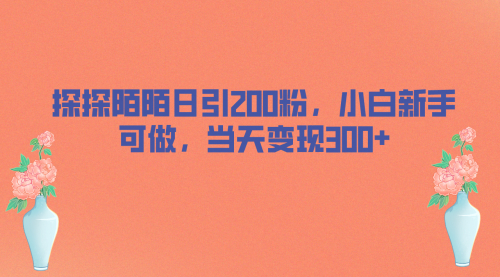 【副业项目7026期】探探陌陌日引200粉，小白新手可做，当天就能变现300+-繁星副业