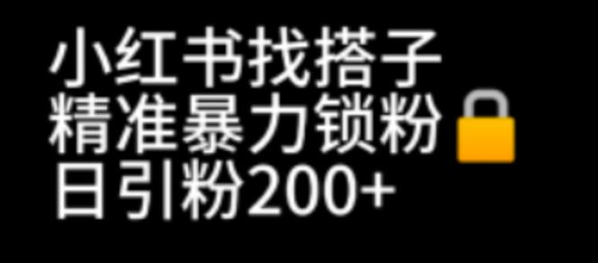 【副业项目7040期】小红书找搭子暴力精准锁粉+引流日引200+精准粉-繁星副业