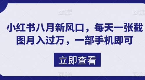 【副业项目7078期】八月新风口，小红书虚拟项目一天收入1000+-繁星副业