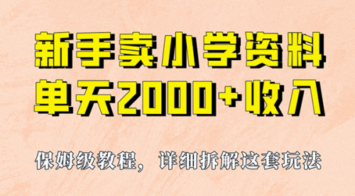 【副业项目7100期】卖小学资料，实现单天2000+，实操项目，保姆级教程+资料+工具-繁星副业