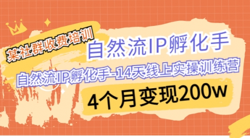 【副业项目7109期】自然流IP孵化手-14天线上实操训练营 4个月变现200w-繁星副业