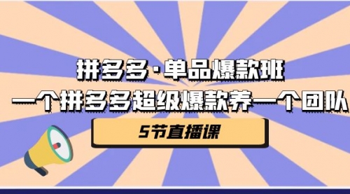 【副业项目第7171期】拼多多·单品爆款班，一个拼多多超级爆款养一个团队-繁星副业