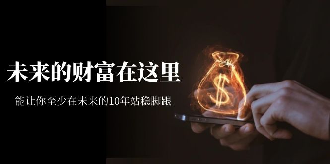 【副业项目7298期】某收费文章《未来的财富在这里》能让你至少在未来的10年站稳脚跟-繁星副业