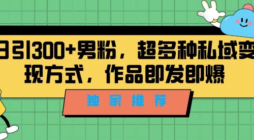 【副业项目7191期】独家推荐！日引300+男粉，超多种私域变现方式-繁星副业