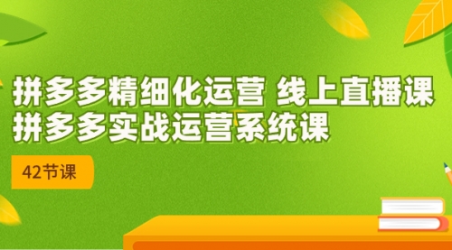 【副业项目7292期】2023年新课-拼多多精细化运营-繁星副业