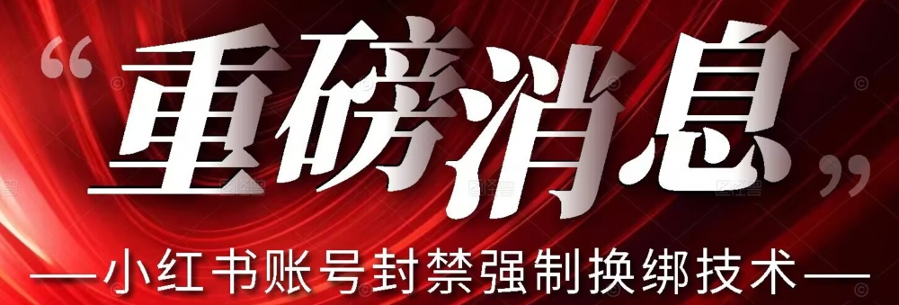 【副业项目7574期】【最新】小红书账号封禁强制换绑技术可日赚300-繁星副业