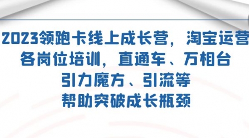 【副业项目7677期】2023领跑·卡 线上成长营 淘宝运营各岗位培训 直通车 万相台 引力魔方 引流-繁星副业