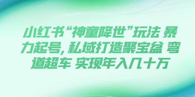 【副业项目7983期】小红书“神童降世”玩法 暴力起号,私域打造聚宝盆-繁星副业