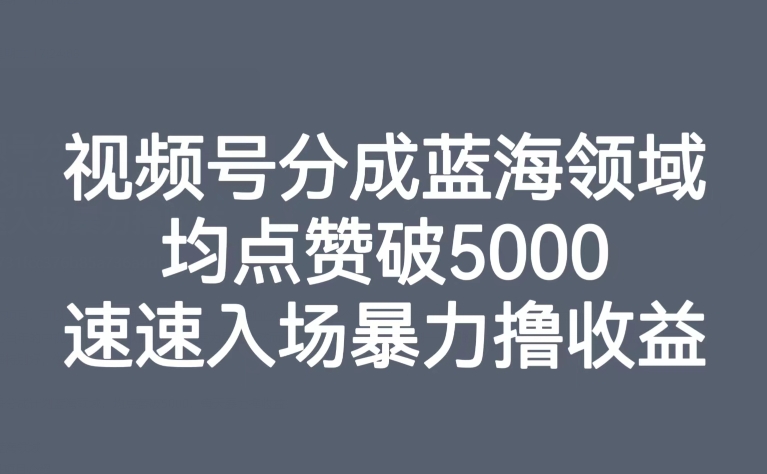 【副业项目8023期】视频号分成蓝海领域，均点赞破5000，速速入场暴力撸收益-繁星副业