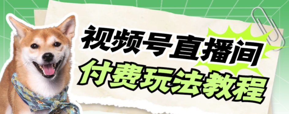 【副业项目7973期】视频号美女付费无人直播，轻松日入500+-繁星副业