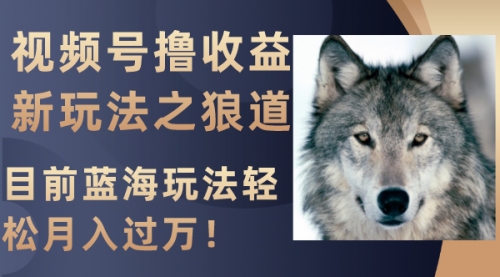 【副业项目8271期】视频号撸收益新玩法之狼道，目前蓝海玩法轻松月入过万！-繁星副业