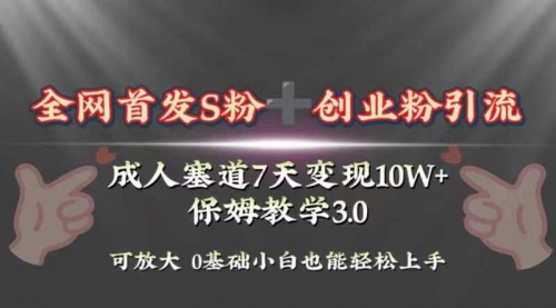 【副业项目8506期】成人用品赛道7天变现10w+保姆教学3.0-繁星副业