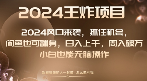 【副业项目8548期】2024闲鱼翻身项目，小白也可做-繁星副业