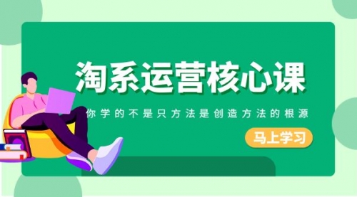 【副业项目8556期】淘系-运营核心课，你学的不是只方法是创造方法的根源-繁星副业