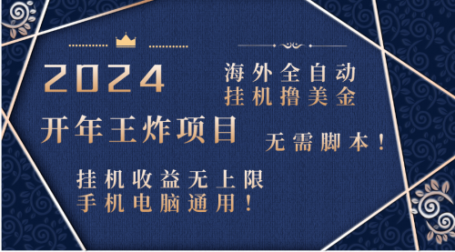 【副业项目8620期】2024海外撸美金项目！手机电脑均可-繁星副业