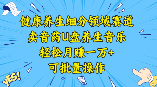 【副业项目8638期】健康养生细分领域赛道，卖音药U盘养生音乐，轻松月赚一万+，可批量操作-繁星副业