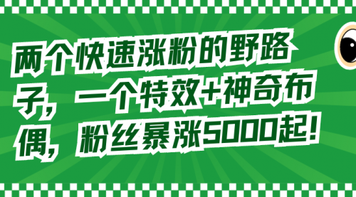 【副业8723期】两个快速涨粉的野路子，一个特效+神奇布偶，粉丝暴涨5000起！-繁星副业
