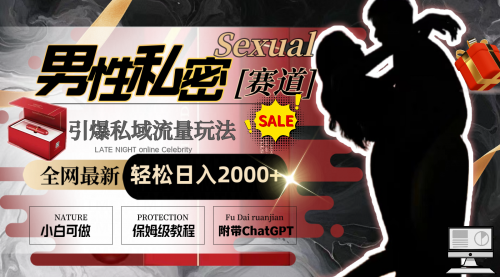 【副业8789期】全网最新男性私密赛道玩法，引爆私域流量，轻松日入2000+-繁星副业