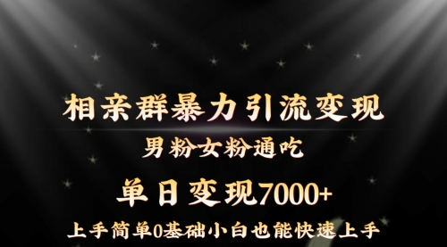 【副业8845期】相亲群暴力引流男粉女粉通吃变现玩法，单日变现7000+保姆教学1.0-繁星副业