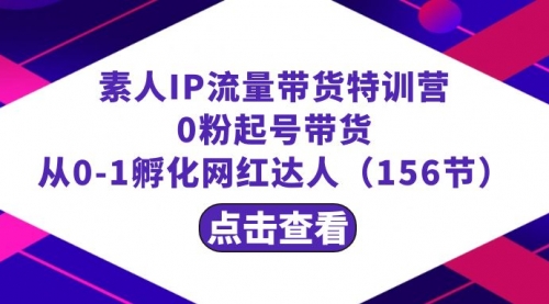 【副业8847期】繁星·计划素人IP流量带货特训营：0粉起号带货 从0-1孵化网红达人（156节）-繁星副业
