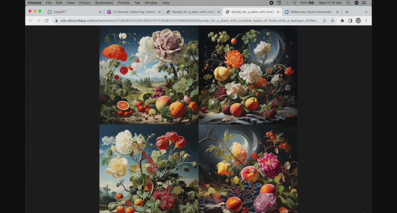 【副业8871期】ChatGPT4 和 MidJourney AI 绘画聊天革命性指南教程-33节视频课-中英字幕-繁星副业