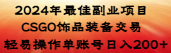 【副业8982期】2024年最佳副业项目 CSGO饰品装备交易 轻易操作单账号日入200+-繁星副业