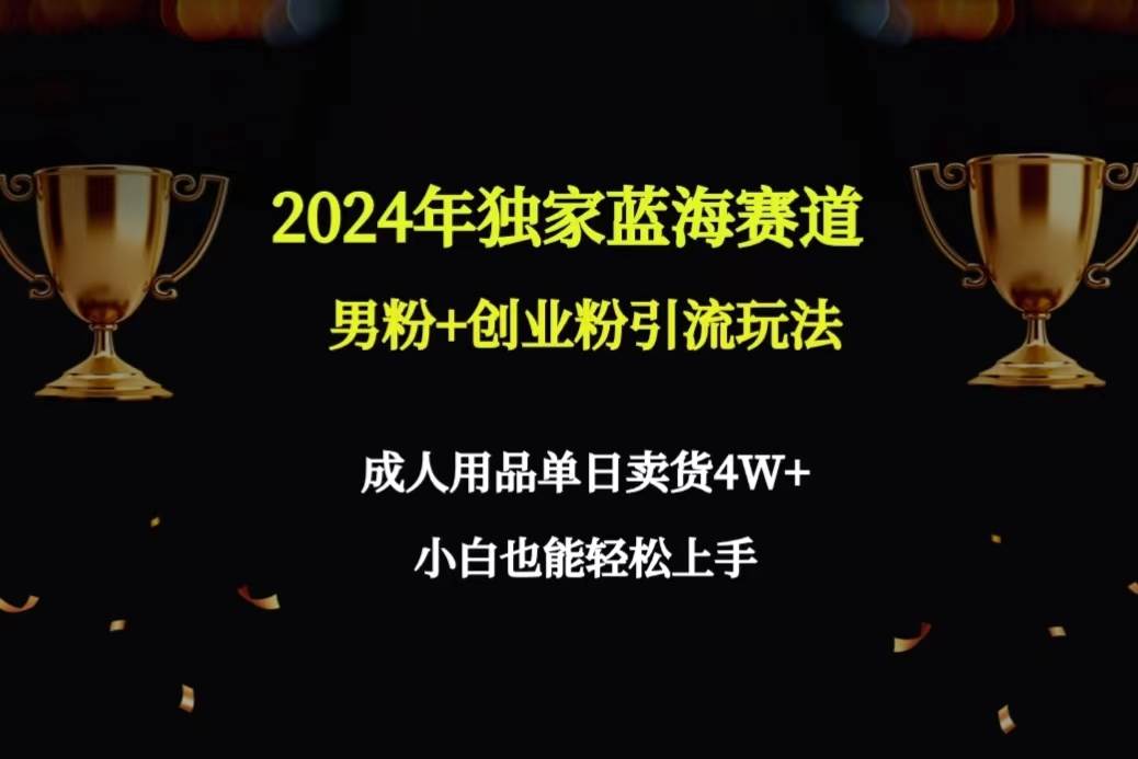2024年独家蓝海赛道男粉+创业粉引流玩法，成人用品单日卖货4W+保姆教程-繁星副业