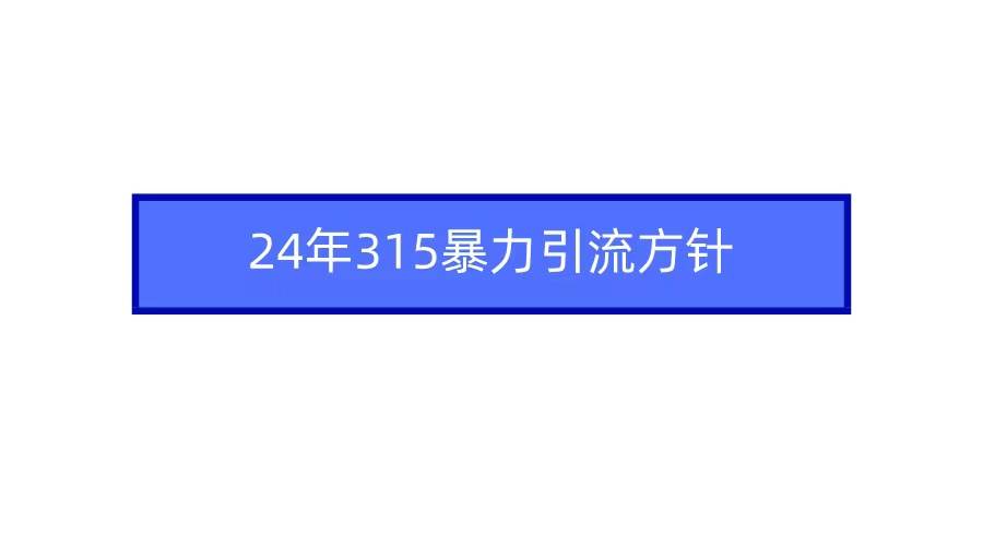 2024年315暴力引流方针-繁星副业