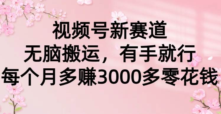视频号新赛道，无脑搬运，有手就行，每个月多赚3000多零花钱-繁星副业