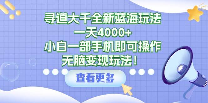 寻道大千全新蓝海玩法，一天4000+，小白一部手机即可操作，无脑变现玩法！-繁星副业