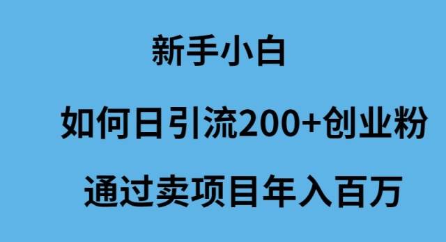 新手小白如何日引流200+创业粉通过卖项目年入百万-繁星副业