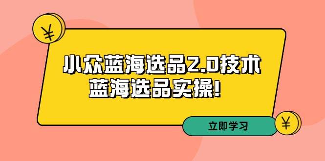 拼多多培训第33期：小众蓝海选品2.0技术-蓝海选品实操！-繁星副业