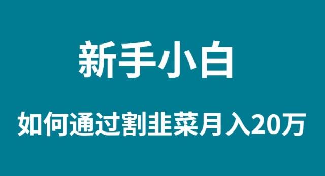 新手小白如何通过割韭菜月入 20W-繁星副业