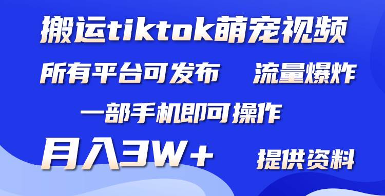 搬运Tiktok萌宠类视频，一部手机即可。所有短视频平台均可操作，月入3W+-繁星副业