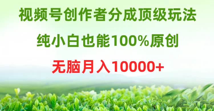 视频号创作者分成顶级玩法，纯小白也能100%原创，无脑月入10000+-繁星副业