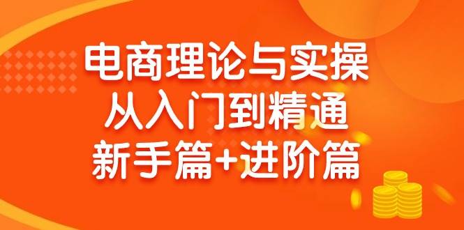 电商理论与实操从入门到精通 新手篇+进阶篇-繁星副业